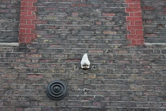 The Seven Noses of Soho street art in London, one of the most quirky places to visit in London's West End